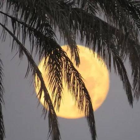 Casa Mar Close To The Sea Playa Del Cura *